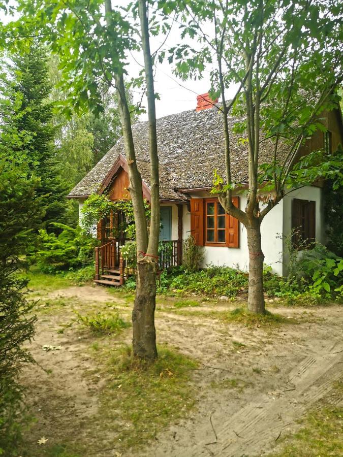 Az Pod Las Zbiczno Esterno foto