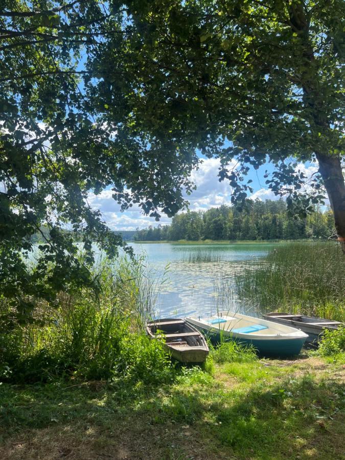 Az Pod Las Zbiczno Esterno foto